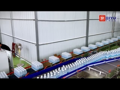 High speed and high quality Single channel gantry palletizer