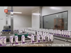 ৬০০০ বিপিএইচ স্পিড ১০০০ মিলি টপ টপ ব্যাগ ক্রিম প্যাকেজিং লাইন