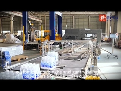 পেইয়ু কর্মশালার পরীক্ষামূলক মেশিন রাশিয়ার জন্য কাস্টমাইজড ডাবল চ্যানেল গ্যান্ট্রি প্যালেটিজার + কাগজ পার্টিশন