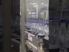 03-21 60000BPH গরম গলিত আঠালো লেবেলিং মেশিন 500 মিলি পিইটি বোতলজাত জল উত্পাদন লাইন জন্য