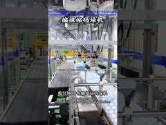 04-09 বোতলজাত পানির উৎপাদন লাইনের জন্য মার্শালিং স্টেশন প্যালেটিজার