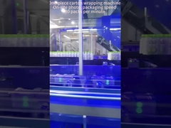 04-09 প্রতি মিনিটে 80 প্যাক, এক টুকরো উচ্চ গতির কার্টন প্যাকেজিং মেশিন