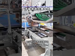 04-10 পেট ফুড উৎপাদন লাইন জন্য অর্ধেক কাগজ ট্রে সঙ্কুচিত মোড়ক সঙ্গে প্রতি মিনিটে 60 প্যাক