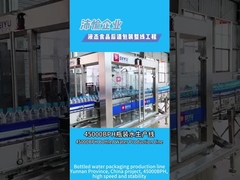 04-10 45000BPH বোতলজাত পানি ব্যাক-এন্ড প্যাকেজিং উৎপাদন লাইন