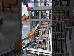 04-10 আমেরিকান আইসক্রিম গ্রাহকরা সাইটে চলমান কেস প্যাকেজিং মেশিনের ভিডিওটি দেখেন