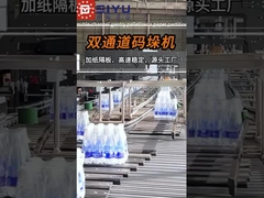 04-11 রাশিয়ার গ্রাহকদের জন্য কাস্টমাইজড ডাবল-চ্যানেল গ্যান্ট্রি প্যালেটিজার + কাগজের পার্টিশন