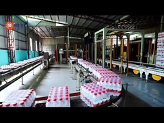 24000BPH বোতলজাত পানির উৎপাদন লাইনের জন্য একক লেন গ্যান্ট্রি প্যালেটিজার