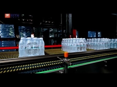 বক্স কনভেয়র 60000BPH বোতলজাত পানি উৎপাদন লাইন জন্য