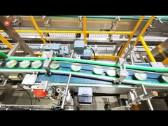 ওশেন ফ্যামিলি ক্যান টুনা উৎপাদন লাইনের জন্য ক্যান লেন বিভাজক