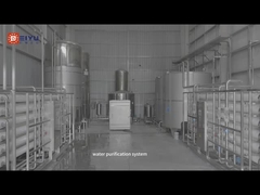 বিশুদ্ধ জল প্রক্রিয়াকরণ সরঞ্জাম উচ্চ দক্ষতা বিশুদ্ধ জল প্রক্রিয়াকরণ সমাধান