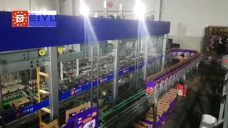Glass bottle carton packing machine at customer site 