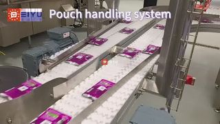Pouch handling system for pouched pet food production line