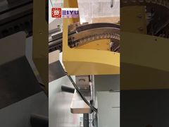 Preform conveying line, transporting preforms to the PET bottle blowing machine