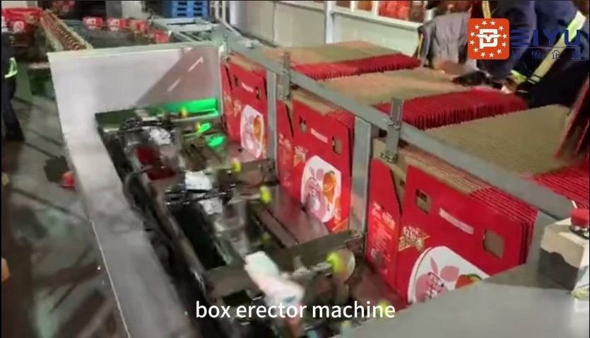 Vertical Box Carton Erector Machine Automatic For Beverage Production Line