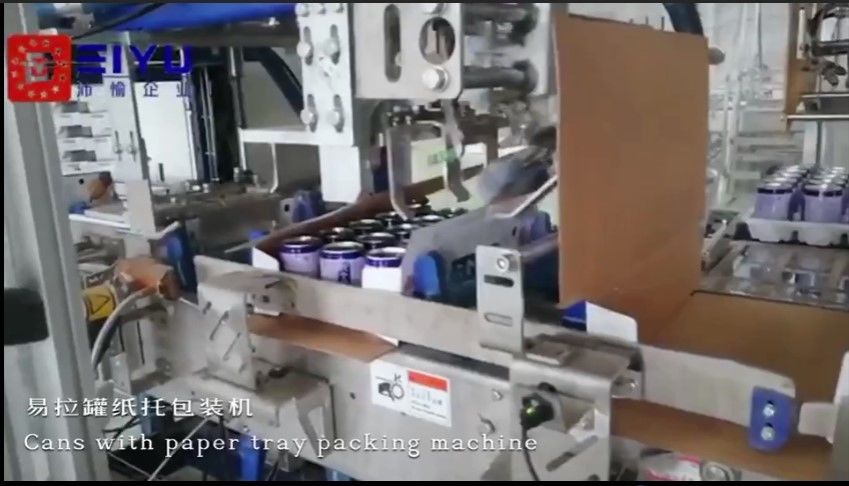 Custom Industrial Case Packing Machine Horizontal Case Packer For Paper Tray Can