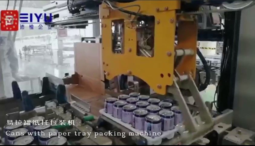 Custom Industrial Case Packing Machine Horizontal Case Packer For Paper Tray Can