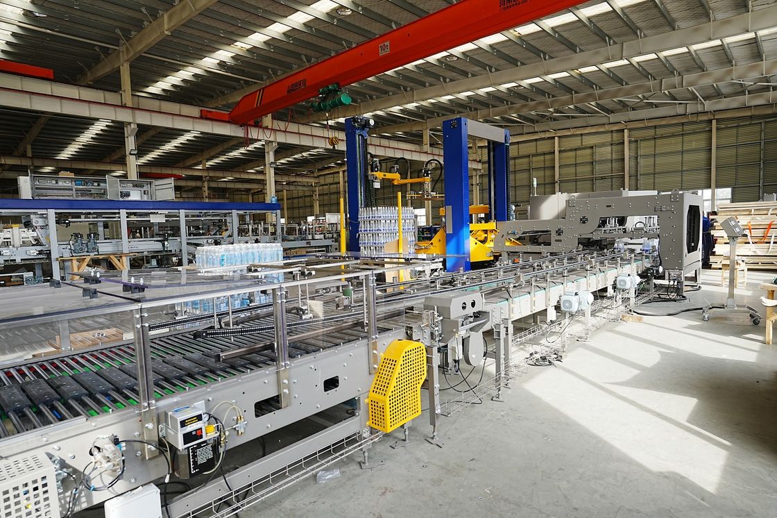 High Speed Fully Automatic Double Channel Gantry Palletizer + Paper Separator For Russian Customers
