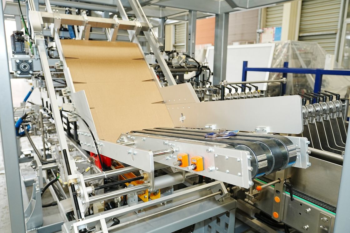 Side-push Type Wrap Around Carton Packer For Tetra Pak 1L Dairy Product Packaging Line