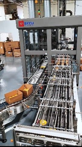 American Ice Cream Customers Watch The Video Of Case Packing Equipment Running On Site
