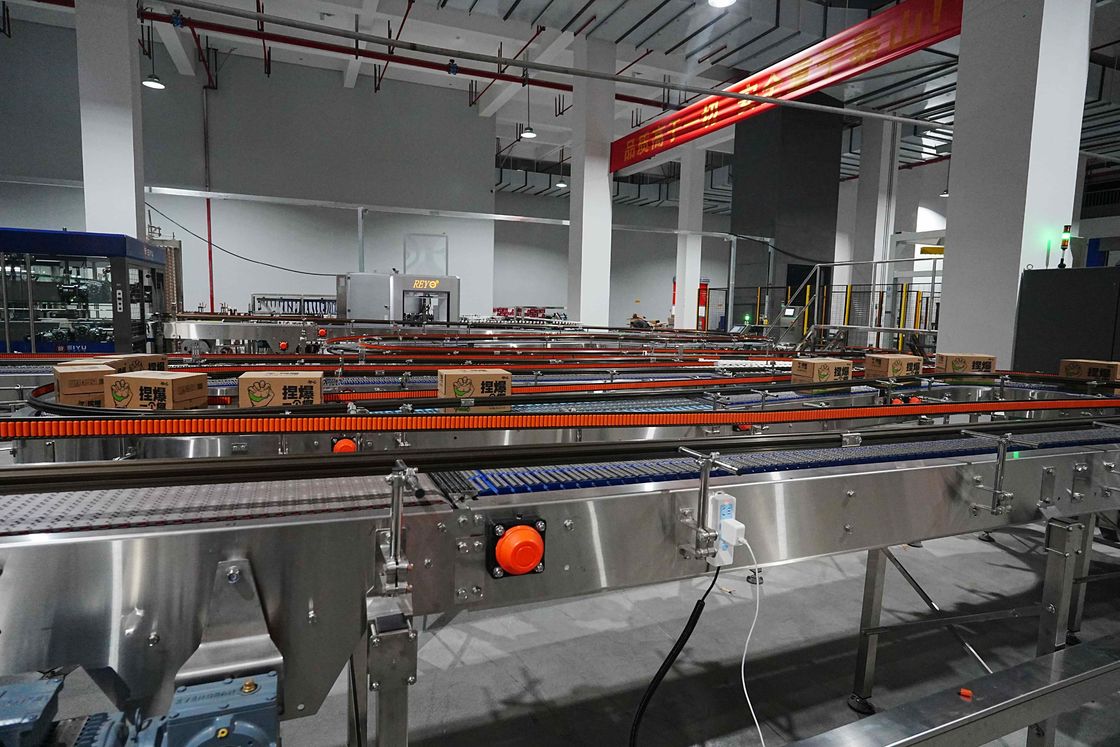 Case Conveying System For 18,000 BPH Beverage Aseptic Complete Line High Efficiency Packaging Solution