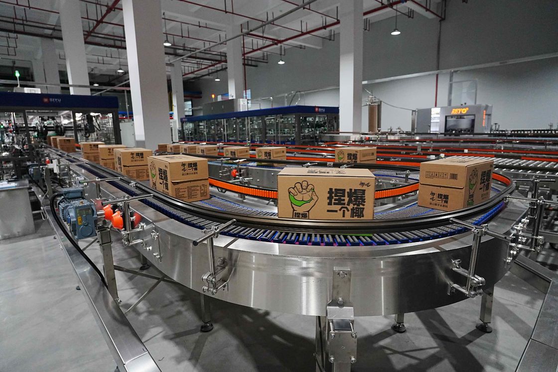 Case Conveying System For 18,000 BPH Beverage Aseptic Complete Line High Efficiency Packaging Solution
