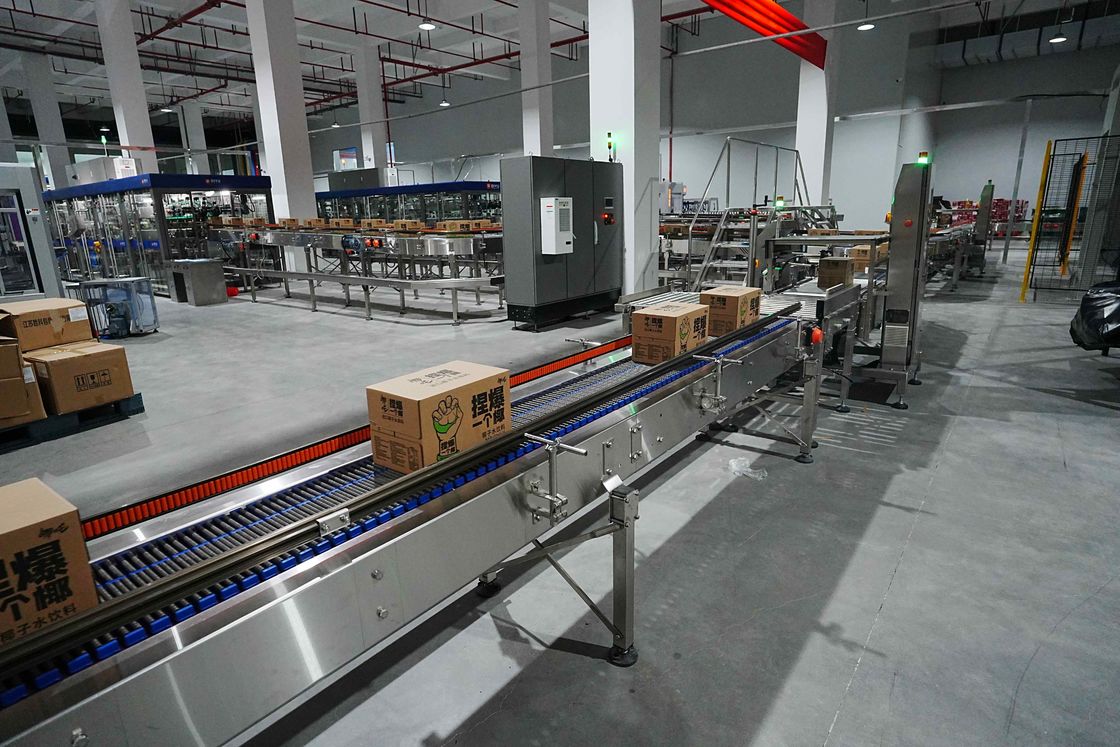 Case Conveying System For 18,000 BPH Beverage Aseptic Complete Line High Efficiency Packaging Solution