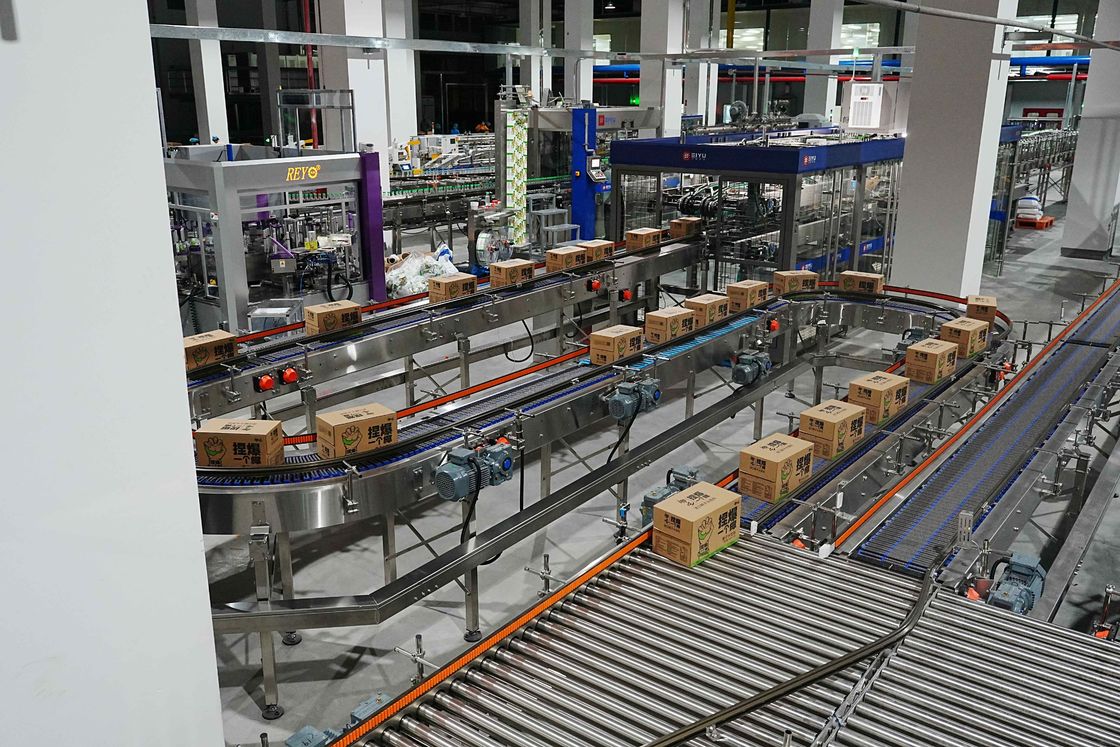 Case Conveying System For 18,000 BPH Beverage Aseptic Complete Line High Efficiency Packaging Solution