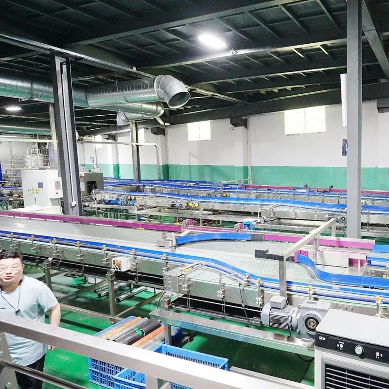 50,000bph PE Bottled Water Production Line with 338ml, 542ml, 1.35L, 4*6 Packaging for Sparkling Water