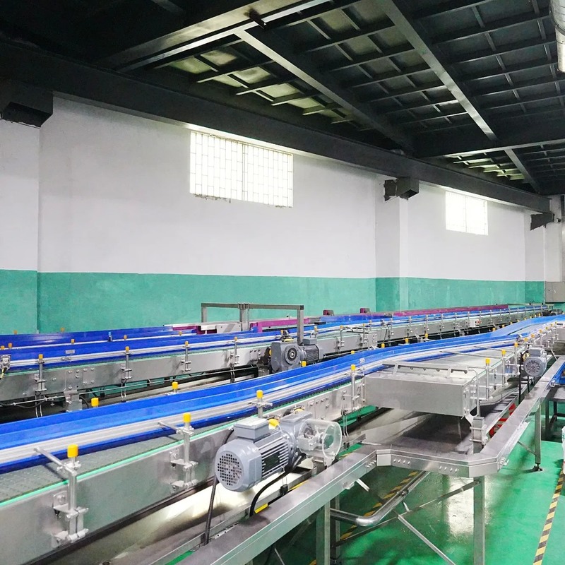 Customized Turnkey Solution Bottled Water Production Line with Siemens PLC for High-Speed Packaging