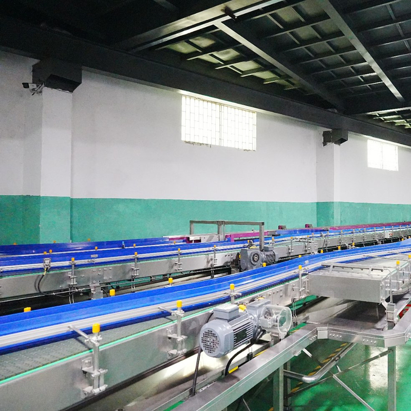 60000bph Hydrogen-Rich Water Production Line and Water Packaging Line with 100-2000ml Capacity