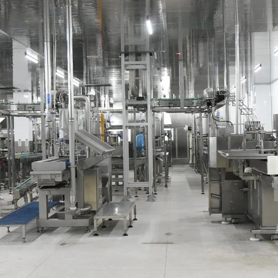 Efficient Automated Canned Food Production Line with 100g-3kg Container Size for High-Speed Packaging
