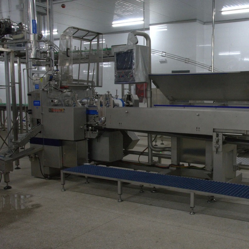 Mechanical Driven Canned Food Production Line with 500 Sets/Year Capacity and Customized Options for Efficient Packaging