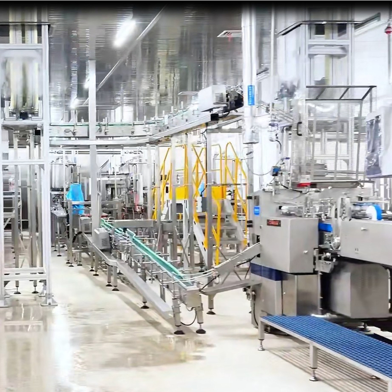 Customized 100g-3kg Container Size Canned Food Production Line with 500 Sets/Year Capacity and 500-10000kg/Day Output