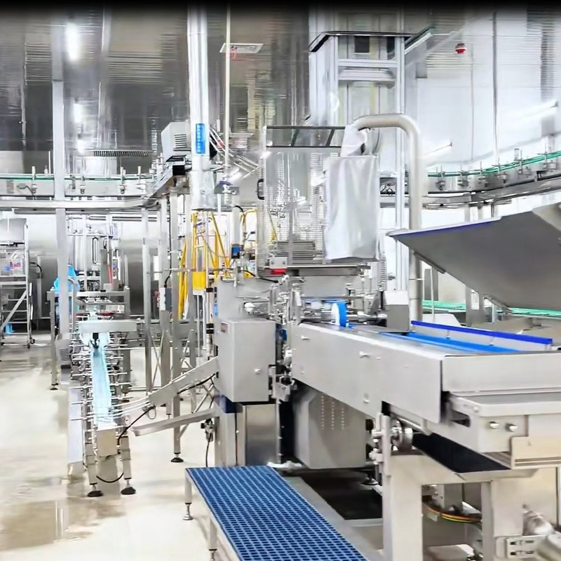 Automatic Wet Pet Food Production Line with 500 Sets/Year Capacity for Fresh or Frozen Raw Material Processing