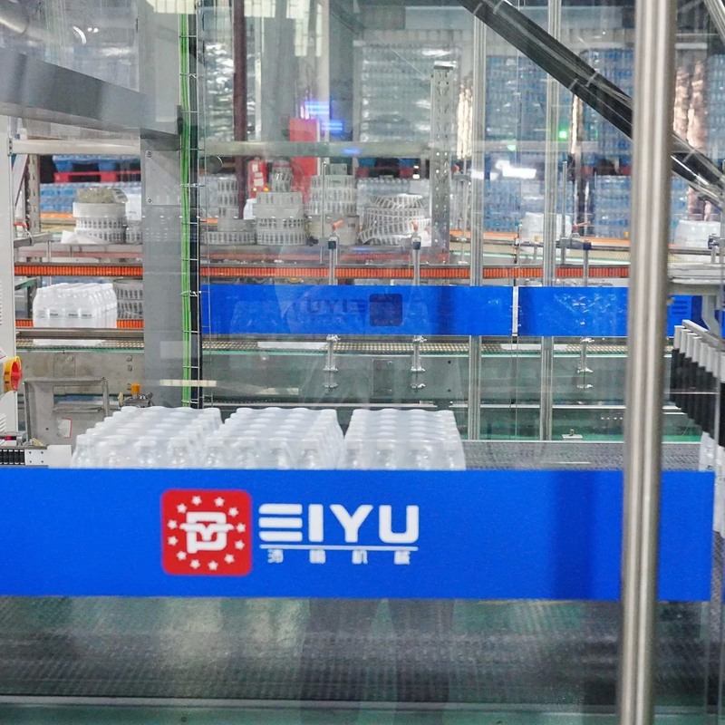 Single-Lane Gantry Palletizer Carton Palletizer Customized for Tea Beverage Production Line