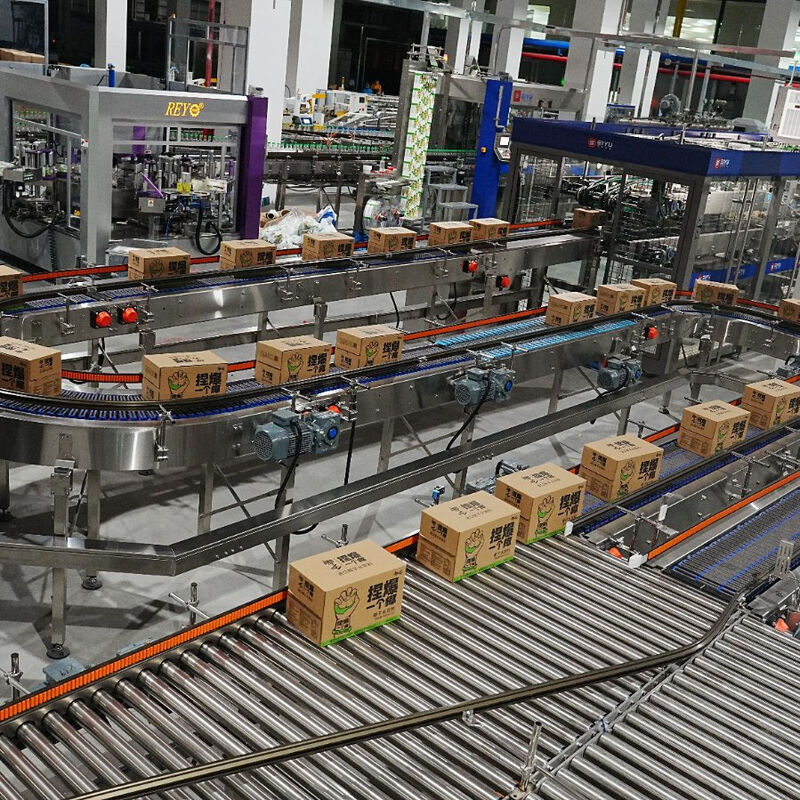 Fully Automatic Customized SUS304/SUS316 Sterile Production Line for Beverage Aseptic Packaging