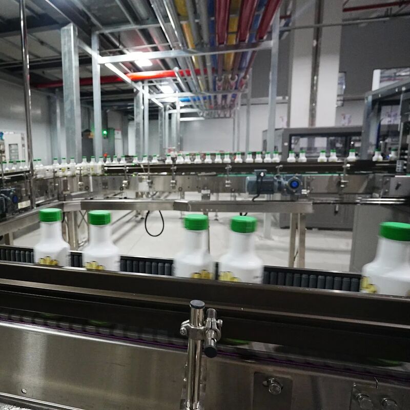 Peiyu Packaging Soluciones de embalaje totalmente automáticas al final de la línea