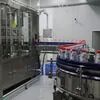 Fully Automatic High Capacity Bottle Filling Machine for Beverage Packaging with 6000-48000 bottles/hour Output
