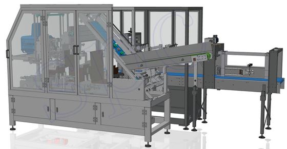 Tetra Brik Bottle Automated Case Packer Machine Customized