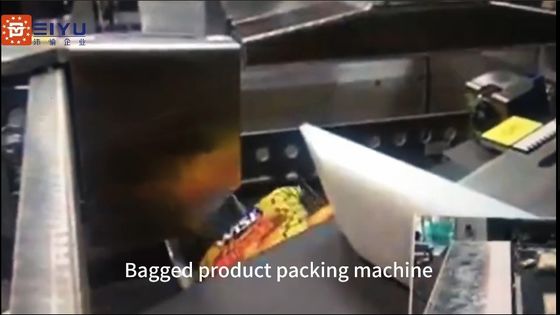 Carton Bagged Robotic Automatic Case Packing Machine Touch Screen Display