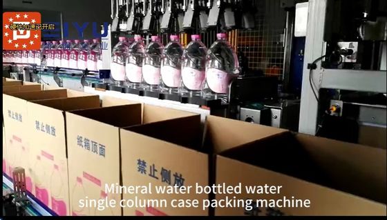 Mineral Water Bottle Case Packer Packaging Machine Single Column