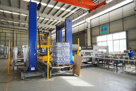 High Speed Fully Automatic Double Channel Gantry Palletizer + Paper Separator For Russian Customers
