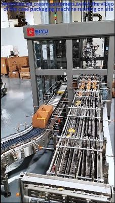 American Ice Cream Customers Watch The Video Of Case Packing Equipment Running On Site